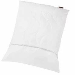 Kopfkissen Regeneration 80 X 80 Cm -Maison Verkaufsgeschäft FJPG S700 2368