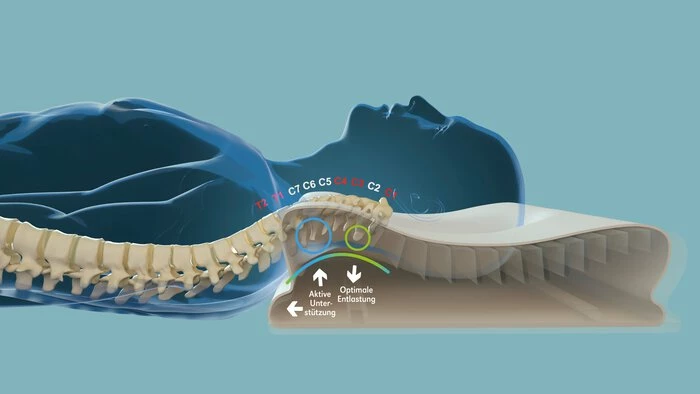 Nackenkissen Neck Protect 40 X 60 Cm 6 Nackenkissen Neck Protect 40 X 60 Cm – Bild 4