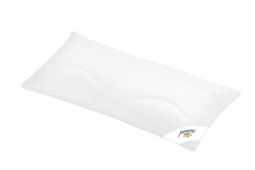 Kopfkissen Juliane 40 X 80 Cm -Maison Verkaufsgeschäft FJPG S700 2495